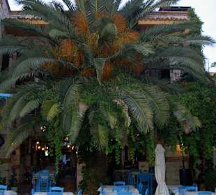 Taverne Aethrion