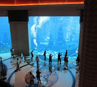 Eines der großen Aquarien