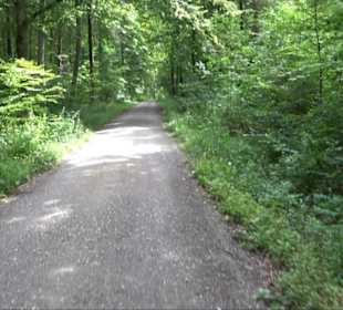 Sonnenaufgangs-Rundwanderung Rübgarten
