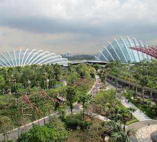 Gardens by the Bay