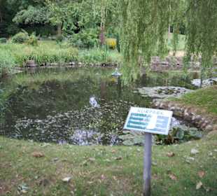 Teich