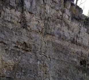 Burgruine Wehrstein Fischingen