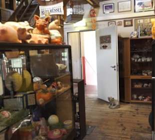 SchweineMuseum