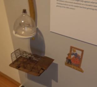 Museum der Alltagskultur