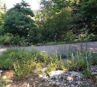 Botanischer Garten