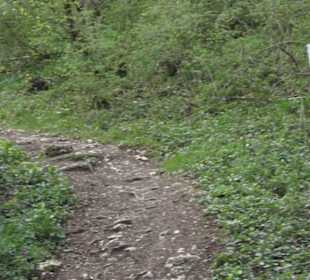 Wanderweg Hochgehswiggert