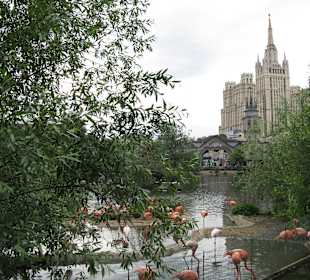 Zoo Moskiewskie