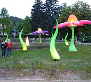 Ausflug