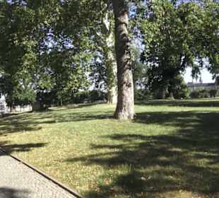 Altstadt - Rund um das Terrassenufer