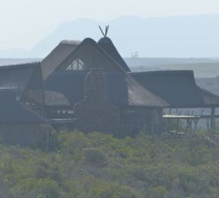 Zurück in der Lodge