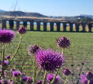 Oymapinar Baraji/ Stausee Green Lake & Green Canyon