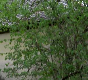 Wallfahrtskapelle zum Heiligsten Herzen Jesu Jagst