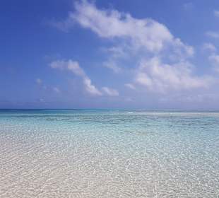Mnemba Island
