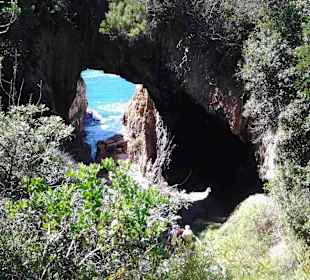 Aussichtspunkt Knysna