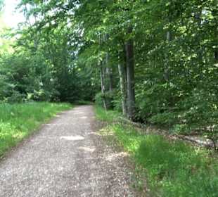 Premiumwanderweg "hochgelegen"