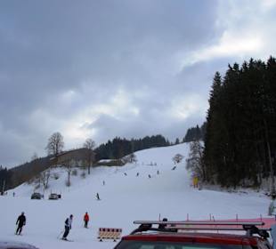 Scheffau/Skigebiet im Bild