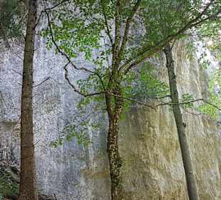 Wandern Aschau im Chiemgau