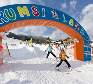 Brumsiland am Dachstein-West