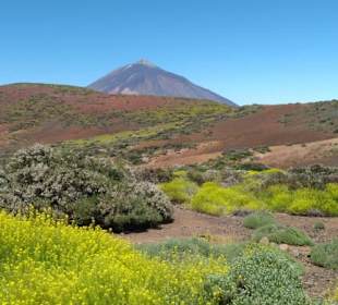  Parque Nacional del Teide