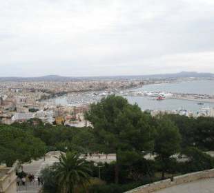 Blick auf Palma und Hafen