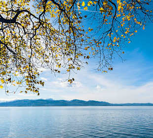 Bodensee