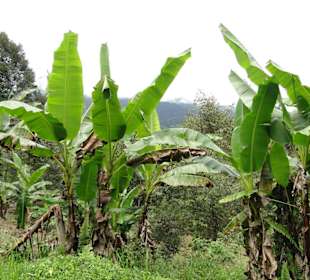 Ausflug Wildfife Expeditions