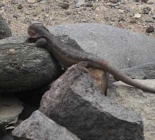 Bewohner der Siedlung - heute
