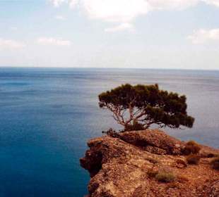 Über der Bucht von Agia Fotia