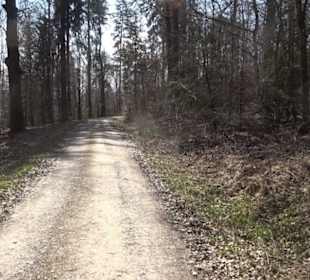 Geologischer Lehrpfad Kirnbachtal