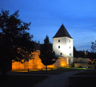 Castle of Sarvar