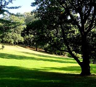 Herbstspaziergang durch Knoops Park