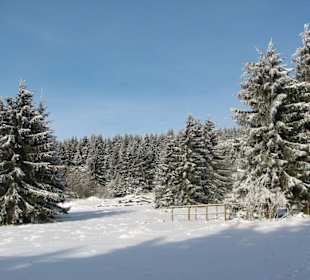 Gipfel Taufstein
