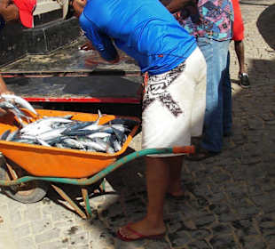 Frischer Fisch am nahen Landungssteg