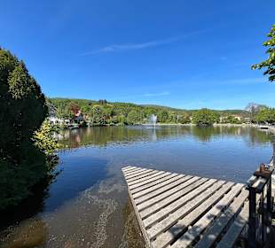 Forellenteich Ilsenburg