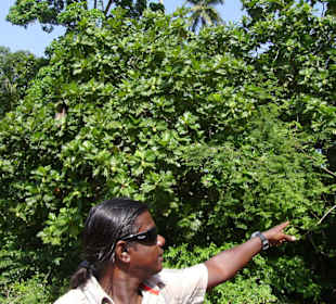 Unser einheimischer Reiseleiter Manjula