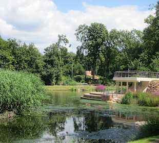 Der Schwanenweiher