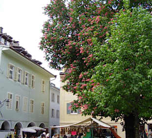 Meran