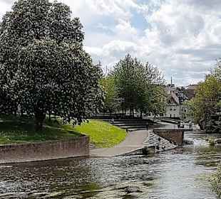 Stadtrundgang Bad Kreuznach