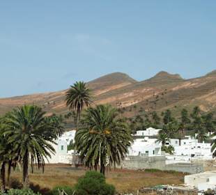 Schöner Blick auf ein kleines Dorf mit Palmen