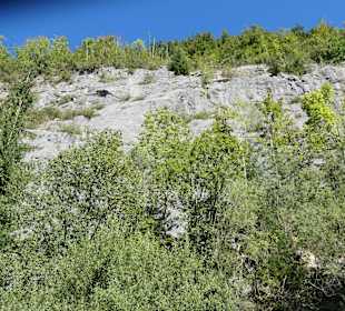 Unterwegs im Wandergebiet Ruhpolding