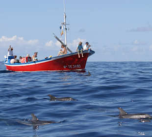 Idyllischer geht es nicht...