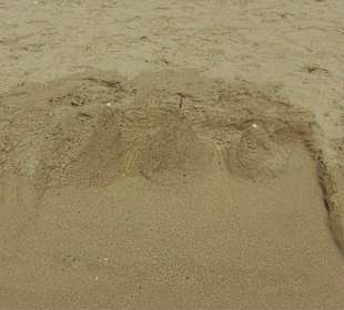 Alles Bauwerk von kleinen und großen Architekten