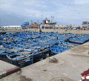 Boote im Hafen von Essaouiri