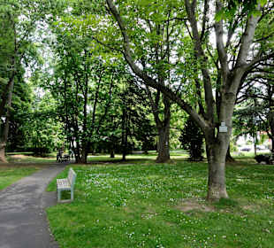 Spaziergang durch den Botanischen Garten