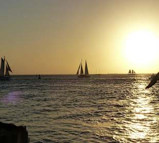 Toller Ausblick vom Sunset Pier