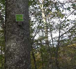 Wandertour "Rund um den Rossberg" Öschingen