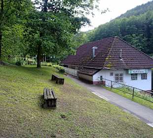 Bärenlochweiher in Kindsbach