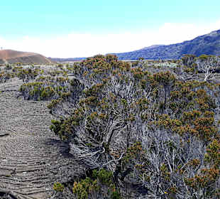 Wandern am Piton de la Fournaise