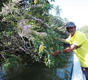Anthoneys Kapitän bei Bootstour