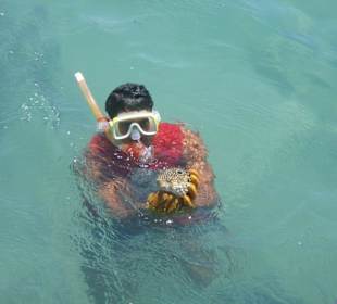 Crewmitglied/Kugelfisch